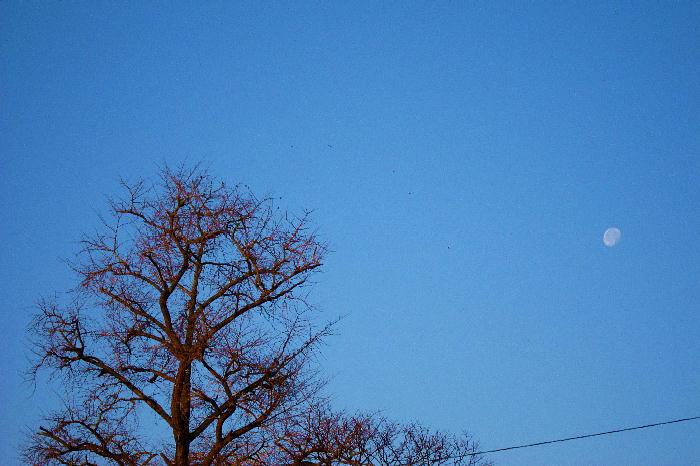 b0171185_21252043.jpg