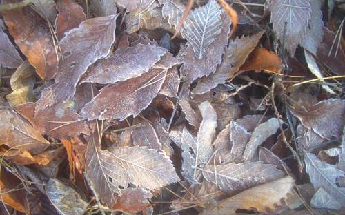 b0099994_12193469.jpg