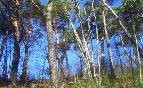 b0099994_12221223.jpg