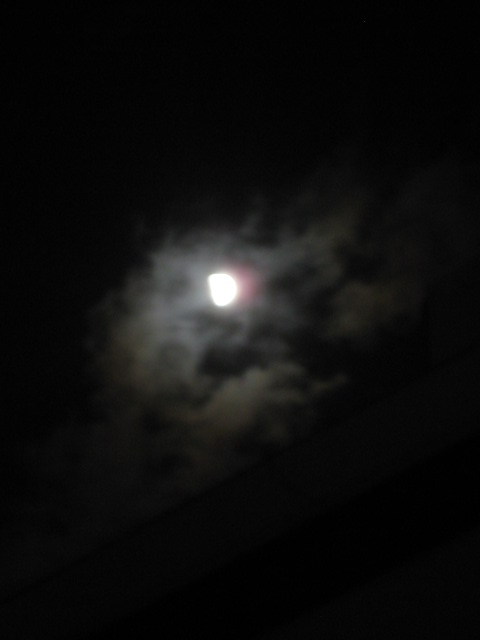 a0193698_194247100.jpg
