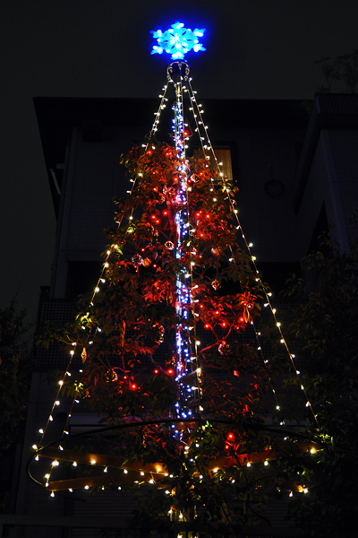 f0080105_7484436.jpg