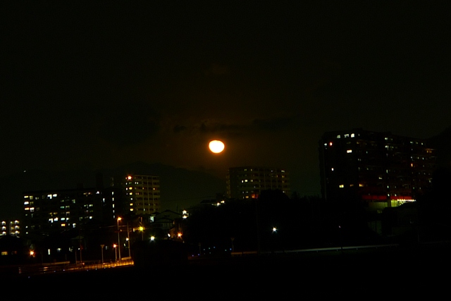 a0097006_035096.jpg