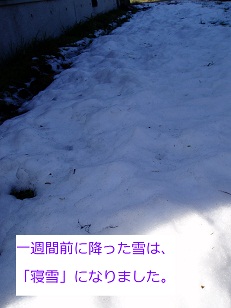 b0200310_15273116.jpg