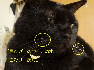 b0200310_15481211.jpg