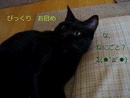 b0200310_15555993.jpg