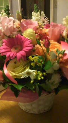 b0240419_073476.jpg