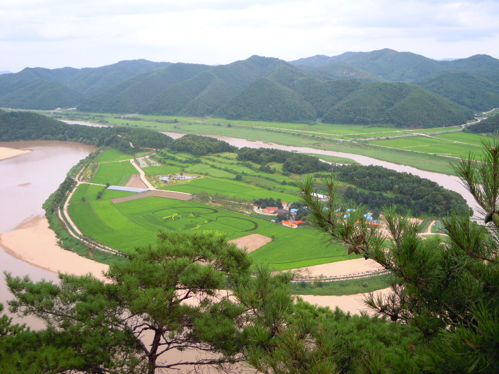b0199822_22223755.jpg