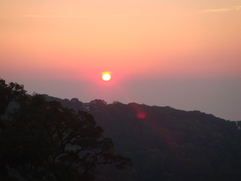 d0159325_10105490.jpg
