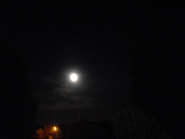 d0104926_636510.jpg