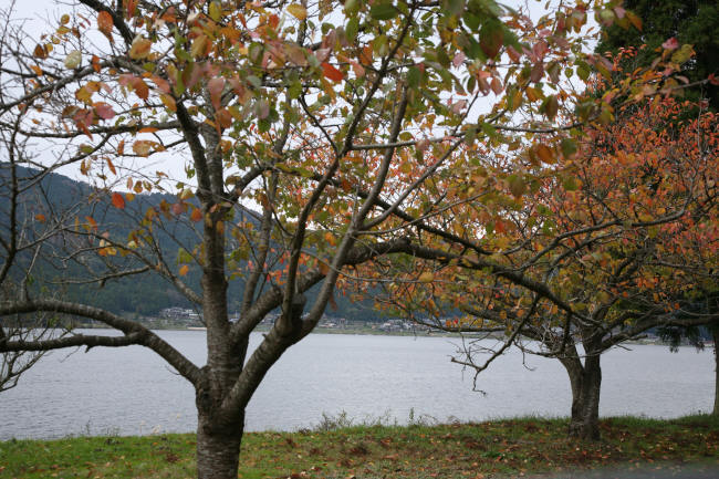 f0017530_22151186.jpg