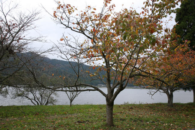 f0017530_22152846.jpg