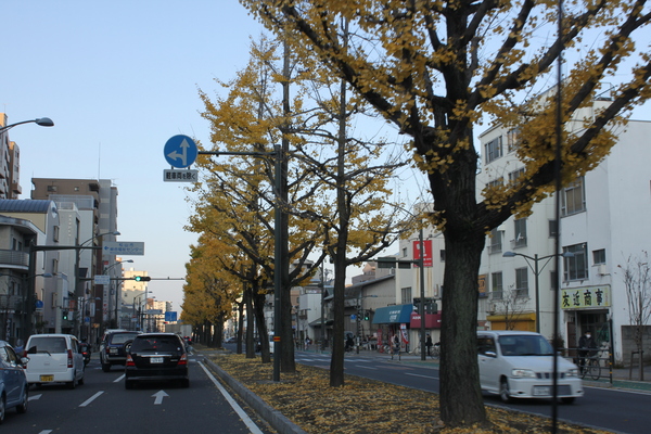 a0139631_193867.jpg