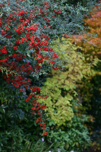 c0134734_22335843.jpg