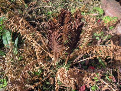 e0097534_2141022.jpg