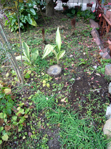 e0097534_21424781.jpg