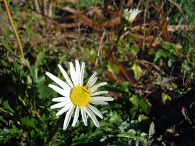e0097534_21452829.jpg