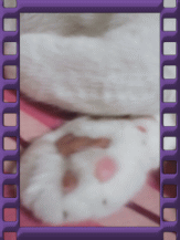 b0213435_19192659.gif