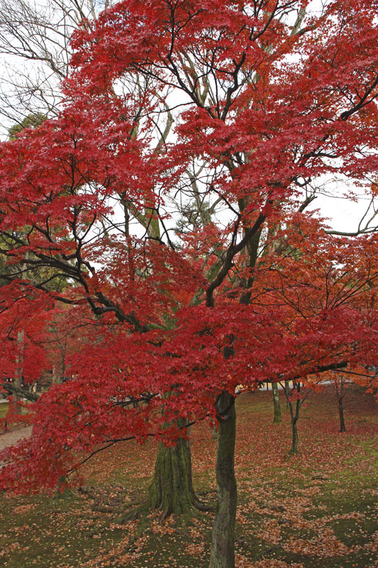 b0042837_2052474.jpg