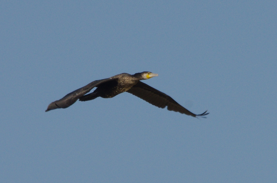 b0247838_1414520.jpg