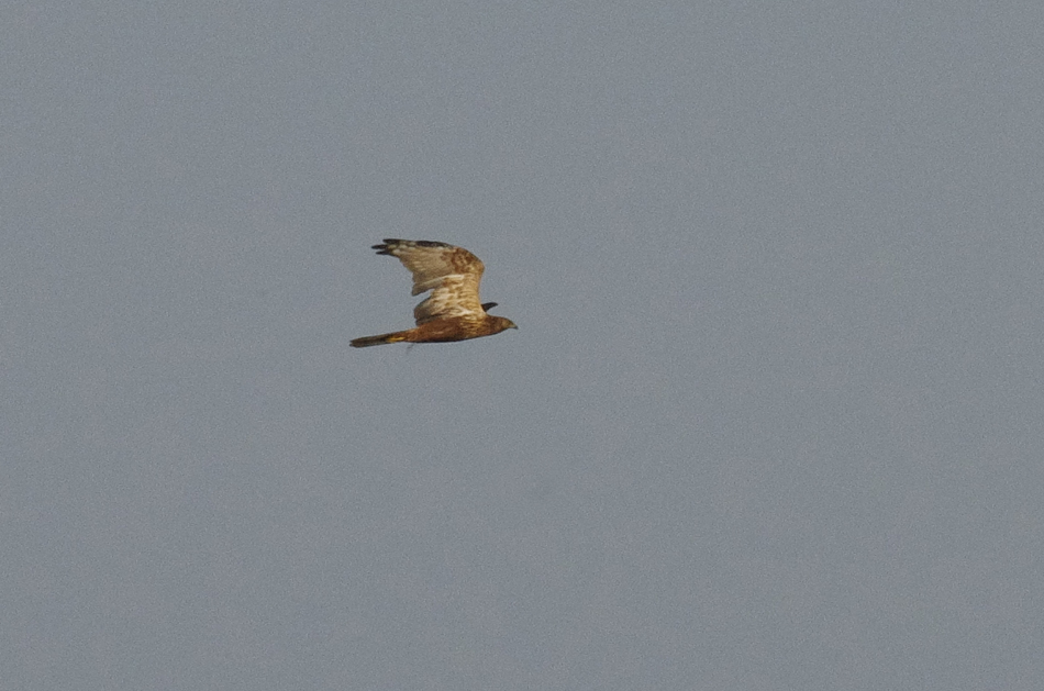 b0247838_1461964.jpg