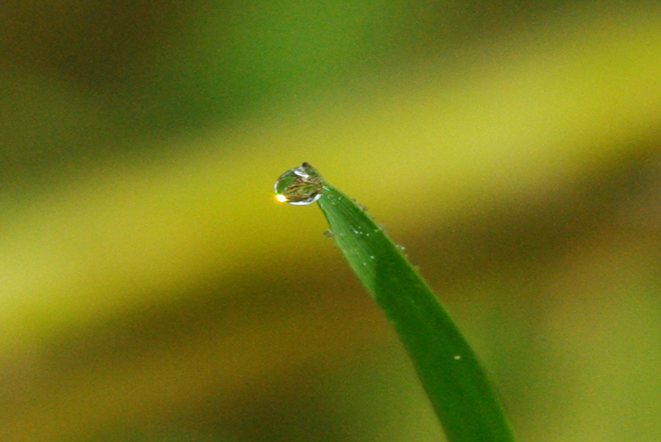 b0247838_1501146.jpg