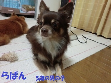 d0169340_0361310.jpg