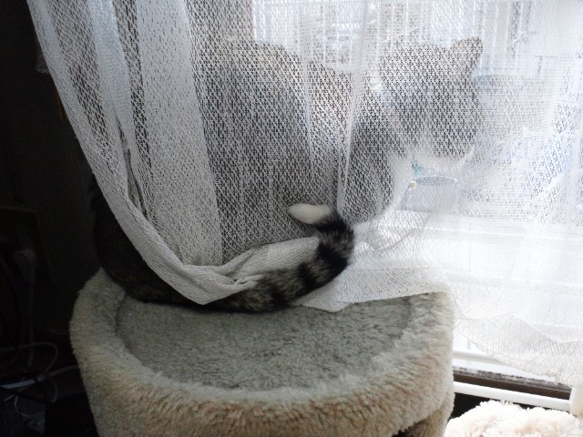 c0194042_2041112.jpg