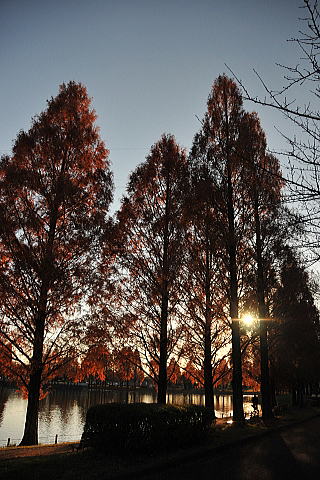 f0094843_13362787.jpg