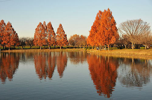 f0094843_1336554.jpg