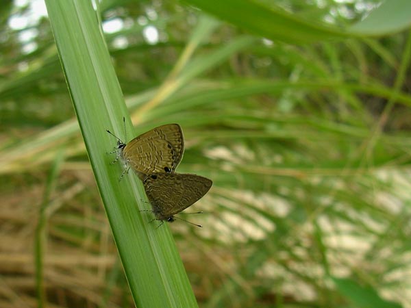 c0045352_22225858.jpg