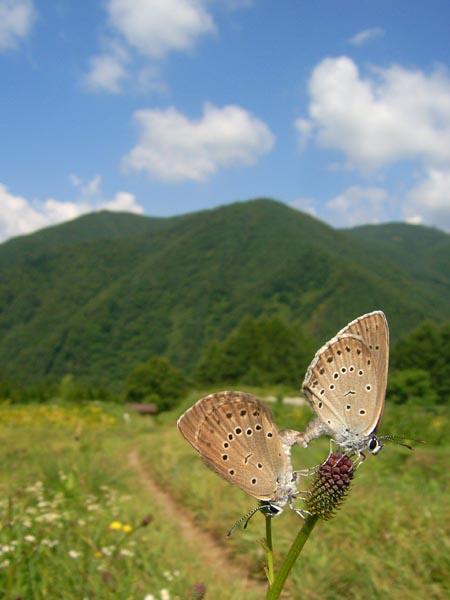 c0045352_22244835.jpg