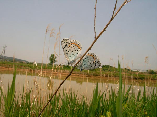 c0045352_22251466.jpg