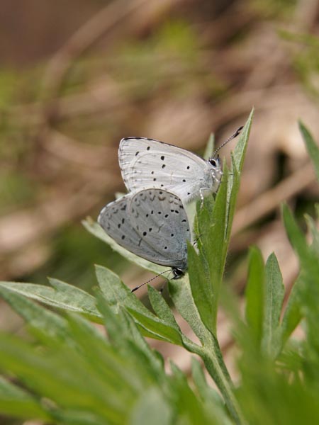 c0045352_22253289.jpg