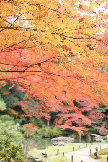 c0201257_15422664.jpg