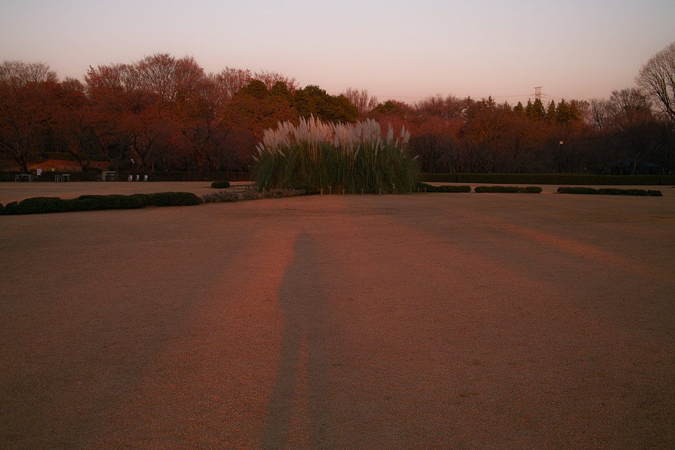 e0066861_2362239.jpg