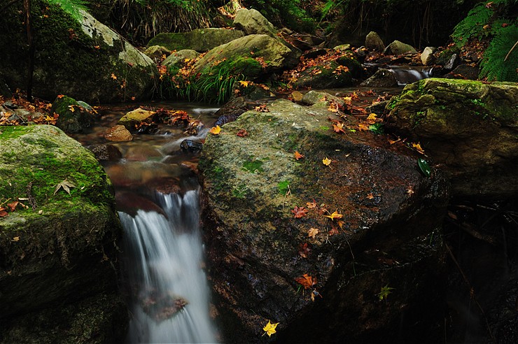 f0222161_22204213.jpg