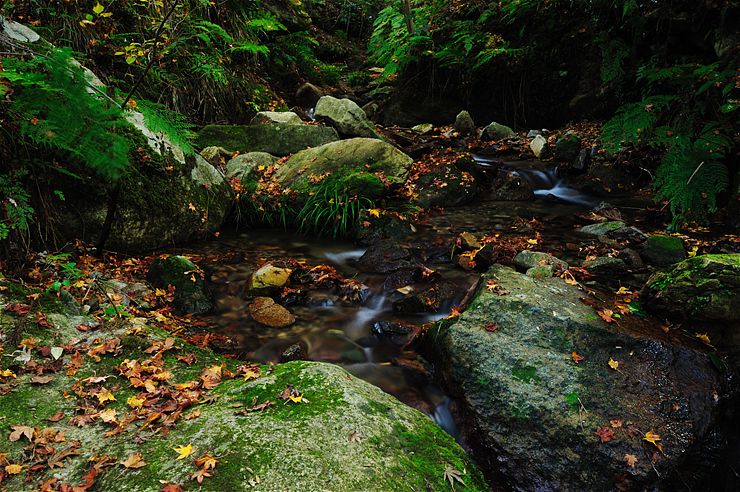 f0222161_2220591.jpg