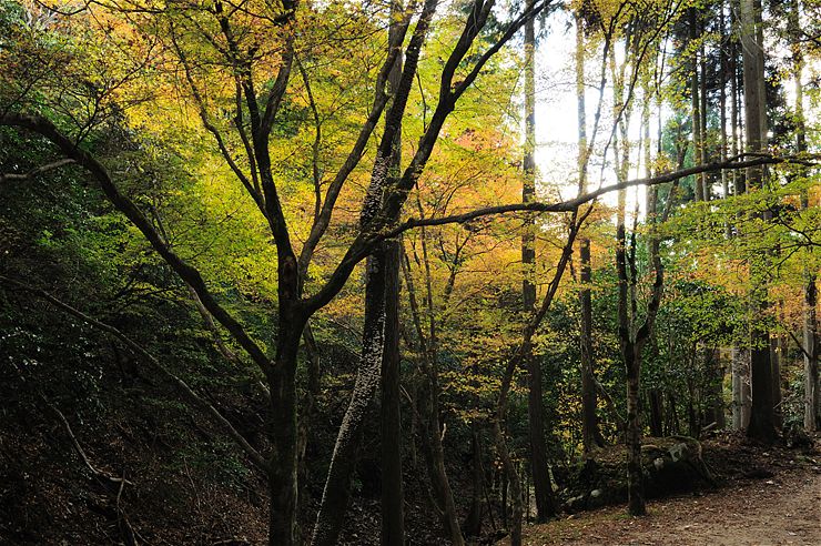 f0222161_22212321.jpg