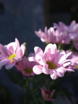 f0120569_9115953.jpg