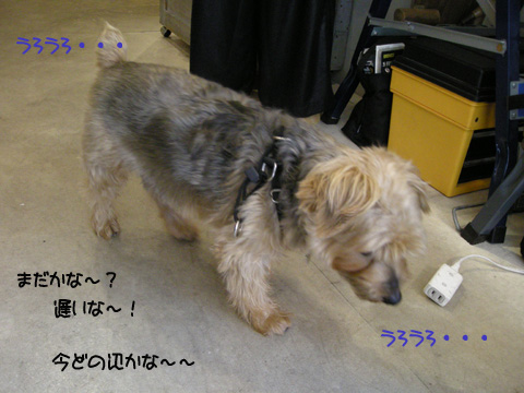 b0249672_19495530.jpg