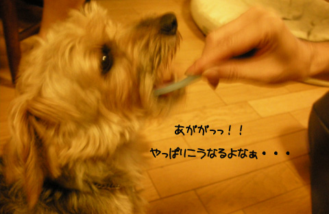 b0249672_206315.jpg
