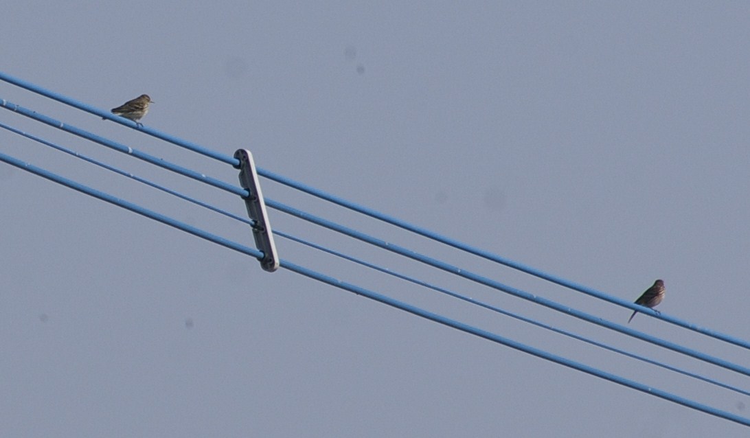 e0197884_213344.jpg