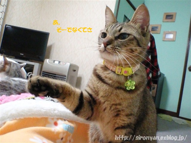 a0159490_14233644.jpg