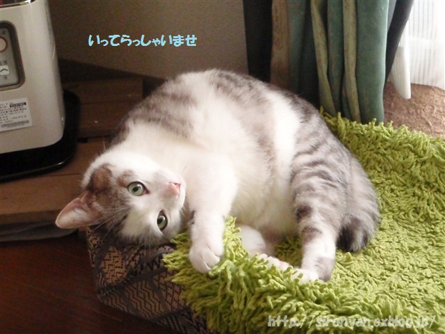a0159490_14493053.jpg