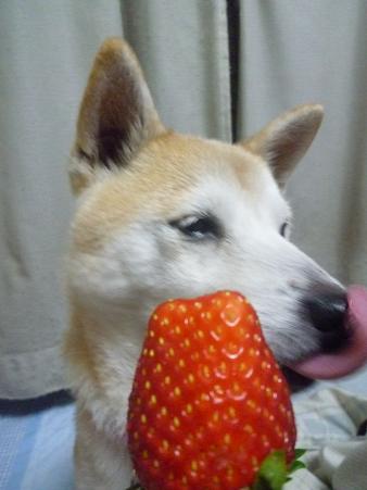 c0123890_22224264.jpg