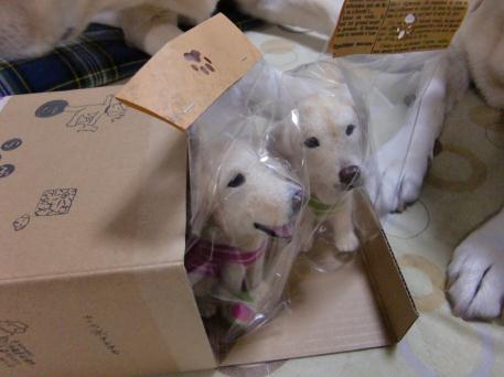 c0028792_2056899.jpg