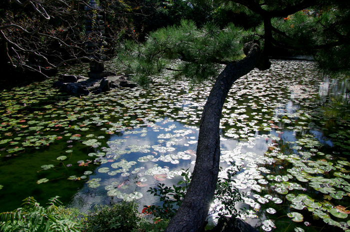e0079696_10352513.jpg