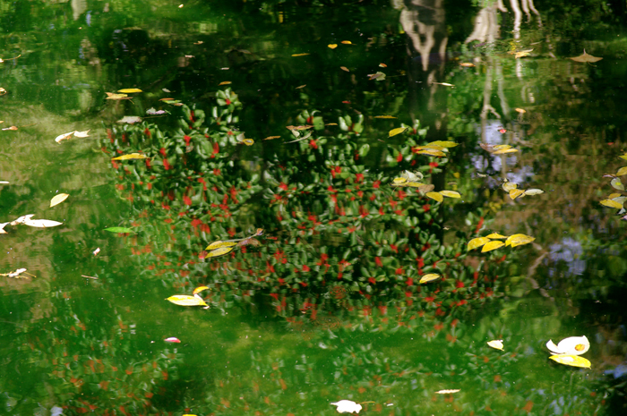 e0079696_10353810.jpg