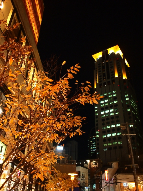 b0138101_19552440.jpg