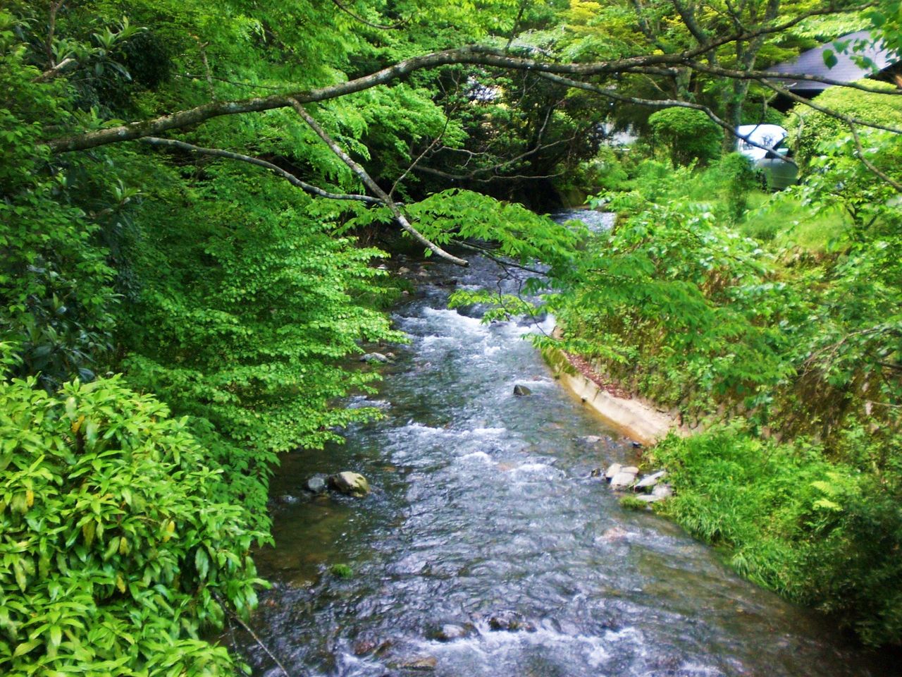 c0072801_8322527.jpg
